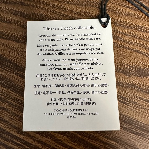 New Coach Snow Globe Pumpkin - Picture 8 of 9